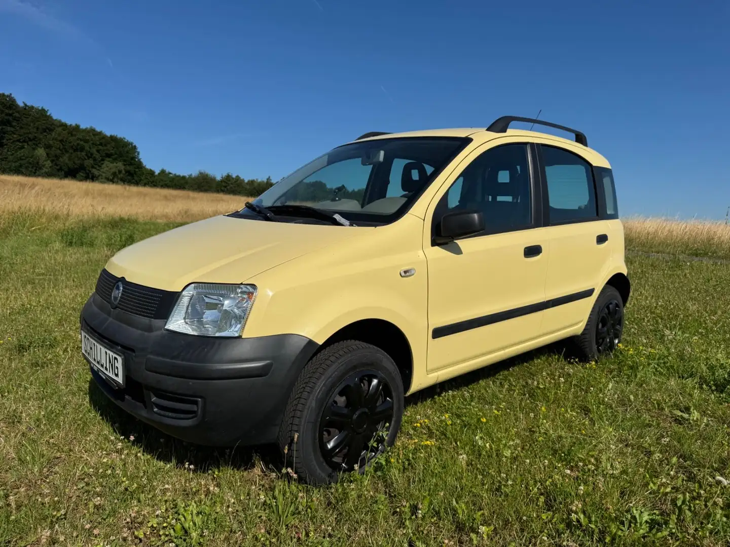 Fiat Panda 1.2 8V Trekking 4X4 ALLRAD orig. 58.400km! Geel - 1