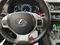 Lexus CT 200h Executive auto Cruise Bluetooth Cerchi Lega Plateado - thumbnail 20