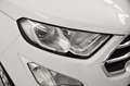 Ford EcoSport 1.0 ecoboost Titanium s&s 125cv my20.25 Blanc - thumbnail 16
