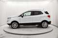 Ford EcoSport 1.0 ecoboost Titanium s&s 125cv my20.25 Blanc - thumbnail 3
