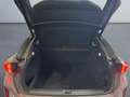CUPRA Terramar 2.0 TSI 4Dr DSG VZ *Matrix*Akebono*20''* Grau - thumbnail 18