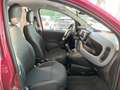 Fiat Panda 1.0 Firefly Hybrid Cross S&Stop Rouge - thumbnail 18