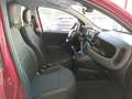 Fiat Panda 1.0 Firefly Hybrid Cross S&Stop Rouge - thumbnail 16