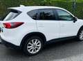 Mazda CX-5 CX-5 CD175 AWD Revolution Revolution Weiß - thumbnail 3