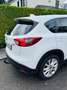 Mazda CX-5 CX-5 CD175 AWD Revolution Revolution Weiß - thumbnail 5