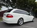 Mercedes-Benz E 500 E -Klasse T-Modell E 500 T Leder Klima Navi AHK Blanco - thumbnail 16
