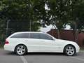 Mercedes-Benz E 500 E -Klasse T-Modell E 500 T Leder Klima Navi AHK Blanco - thumbnail 5