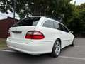 Mercedes-Benz E 500 E -Klasse T-Modell E 500 T Leder Klima Navi AHK Blanco - thumbnail 14