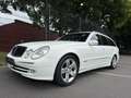 Mercedes-Benz E 500 E -Klasse T-Modell E 500 T Leder Klima Navi AHK Blanco - thumbnail 7