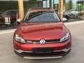 Volkswagen Golf Variant Alltrack BMT 2,0 TDI DSG 4Motion Xenon Panorama... Rot - thumbnail 8
