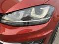 Volkswagen Golf Variant Alltrack BMT 2,0 TDI DSG 4Motion Xenon Panorama... Rot - thumbnail 9