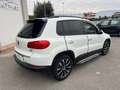 Volkswagen Tiguan 1.4 TSI 122 CV Business Trend & Fun BlueMotion Bianco - thumbnail 4
