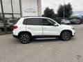 Volkswagen Tiguan 1.4 TSI 122 CV Business Trend & Fun BlueMotion Bianco - thumbnail 13