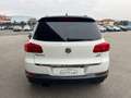 Volkswagen Tiguan 1.4 TSI 122 CV Business Trend & Fun BlueMotion Bianco - thumbnail 11