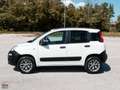 Fiat Panda 1.3 MJT 80 CV 4X4 EU6 AUTOCARRO 2 POSTI Bianco - thumbnail 7