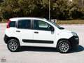 Fiat Panda 1.3 MJT 80 CV 4X4 EU6 AUTOCARRO 2 POSTI Bianco - thumbnail 8