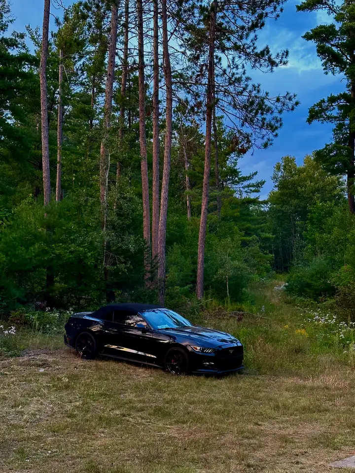 Ford Mustang снимка Ford Mustang