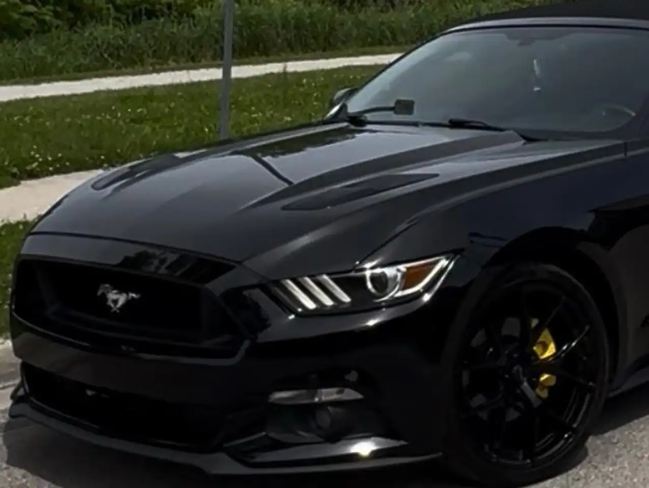 Ford Mustang снимка Ford Mustang