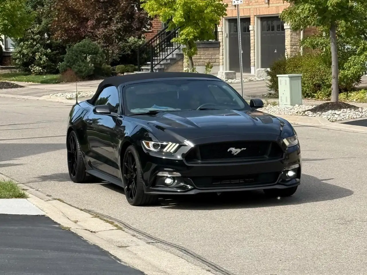Ford Mustang снимка Ford Mustang