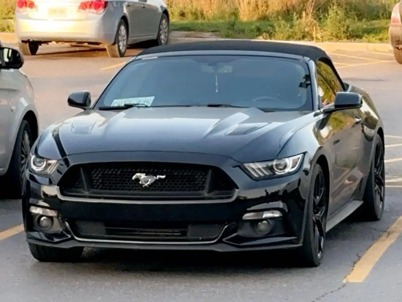 Ford Mustang снимка Ford Mustang