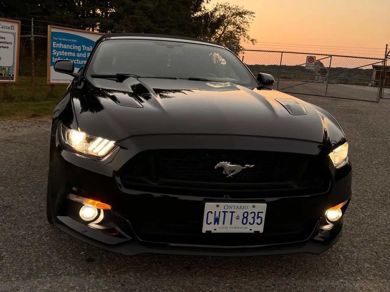 Ford Mustang снимка Ford Mustang