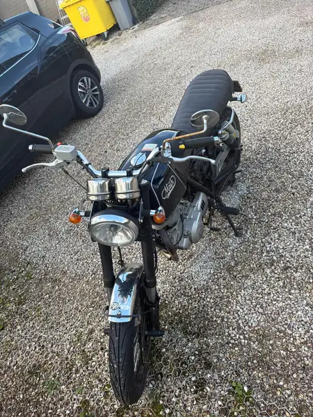 Mash Black Seven - foto 2