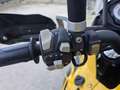 Benelli TRK 502 kw 35 Export Video 360 Giallo - thumbnail 7
