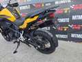 Benelli TRK 502 kw 35 Export Video 360 Giallo - thumbnail 6