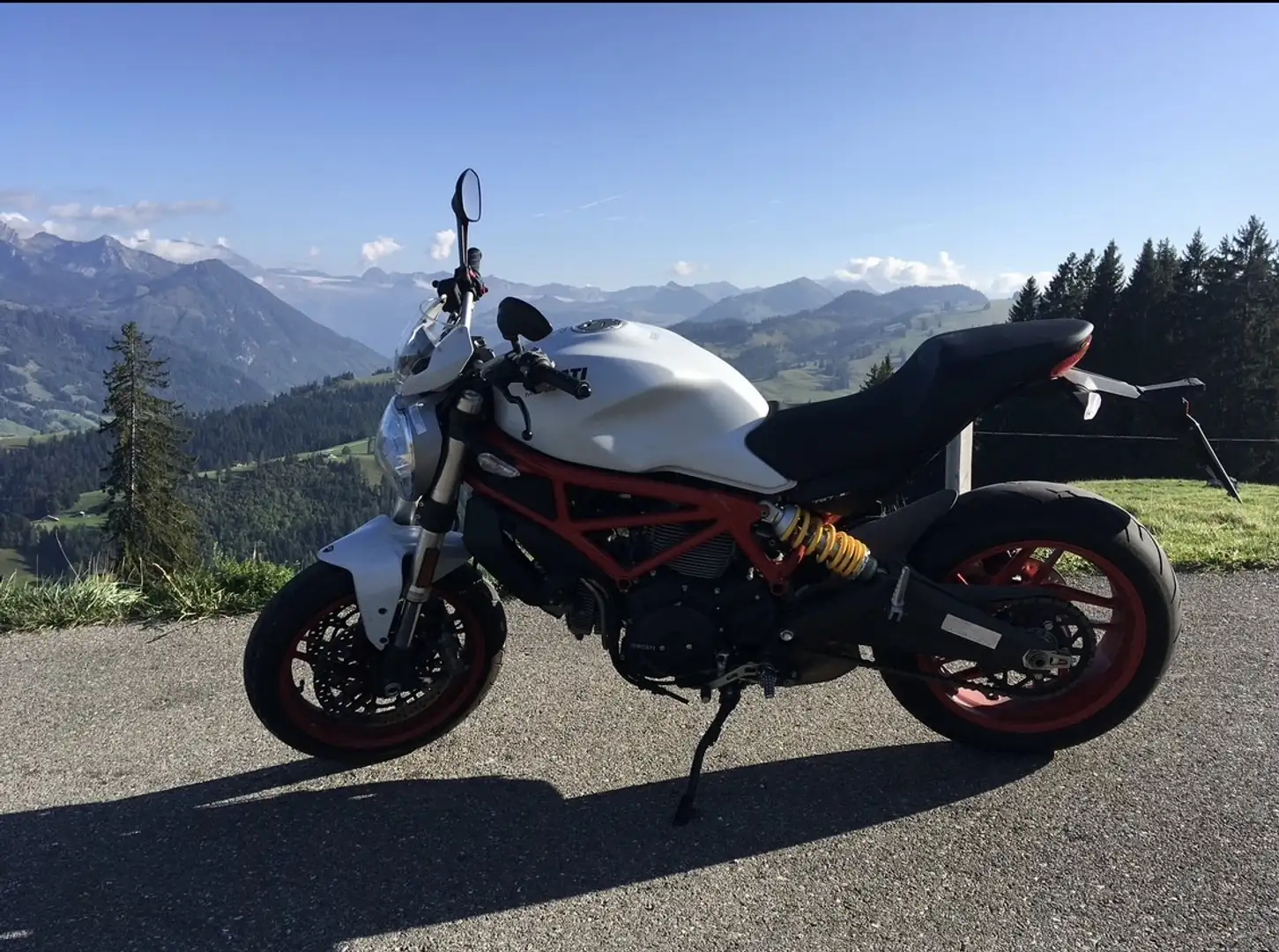 Ducati Monster 797 Bianco - 1