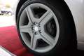Mercedes-Benz S 350 AMG AHK/PANORAMA/LDER Silber - thumbnail 22