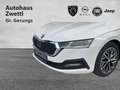 Skoda Octavia Kombi Ambition Clever 2,0 Weiß - thumbnail 18