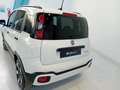 Fiat Panda Panda 1.0 FireFly S&S Hybrid City Cross Blanc - thumbnail 5