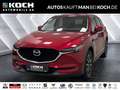 Mazda CX-5 SKYACTIV-G 194 AWD Sports-Line LED SHZ KLIMA Rot - thumbnail 1