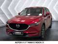 Mazda CX-5 SKYACTIV-G 194 AWD Sports-Line LED SHZ KLIMA Rot - thumbnail 3