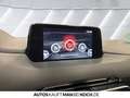 Mazda CX-5 SKYACTIV-G 194 AWD Sports-Line LED SHZ KLIMA Rot - thumbnail 13