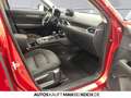 Mazda CX-5 SKYACTIV-G 194 AWD Sports-Line LED SHZ KLIMA Rot - thumbnail 8