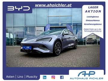 Excellence AWD 530PS MY2026 - WOW Vorführwagen ...