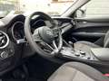 Alfa Romeo Stelvio 2.2 Turbodiesel 180 CV AT8 Q4 Business Bleu - thumbnail 8