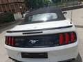 Ford Mustang CABRIO 2.3-KIT SHELBY 500-IVA ESPOSTA-FULL Wit - thumbnail 6