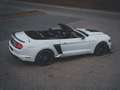 Ford Mustang CABRIO 2.3-KIT SHELBY 500-IVA ESPOSTA-FULL Wit - thumbnail 8