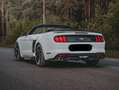 Ford Mustang CABRIO 2.3-KIT SHELBY 500-IVA ESPOSTA-FULL Wit - thumbnail 10