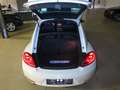 Volkswagen Beetle The Beetle 2.0 TSI Sport Leder eSAD Navi LM18 Weiß - thumbnail 7