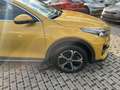 Kia XCeed Business Line Jaune - thumbnail 3