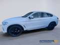 BMW X4 X4 xDrive20d xLine Bianco - thumbnail 6