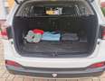 Kia Sorento Sorento 2.2 CRDi AWD Aut. Platinum Edition Bílá - thumbnail 7