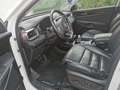 Kia Sorento Sorento 2.2 CRDi AWD Aut. Platinum Edition Fehér - thumbnail 9