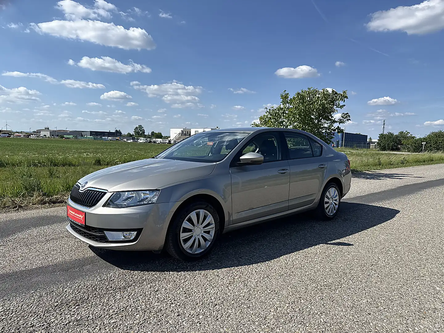 Skoda Octavia 1,6 Active TDI Gold - 2