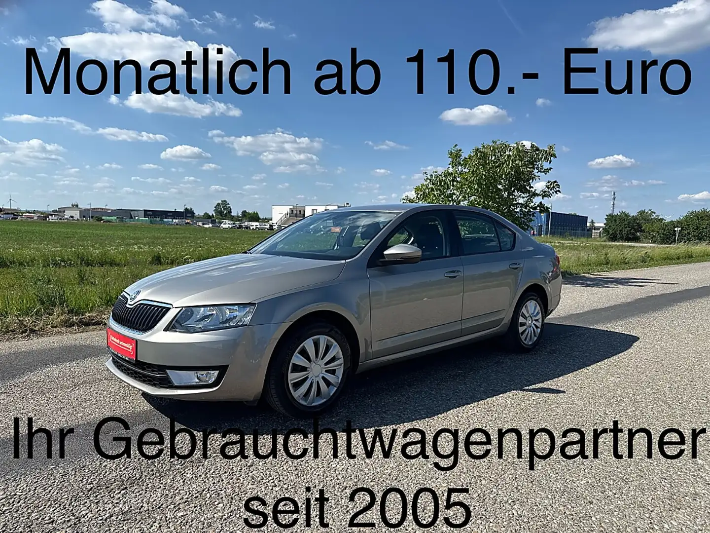 Skoda Octavia 1,6 Active TDI Gold - 1