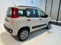 Fiat Panda Panda 1.2 Active natural power Beige - thumbnail 6