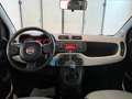 Fiat Panda Panda 1.2 Active natural power Beige - thumbnail 9
